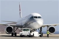 Javier de la Cruz - CANARY ISLANDS SPOTTING. Click to see full size photo