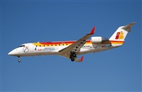 Rubn Gil - Noisy Spotters. Click to see full size photo