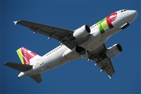 Rodrigo Carvalho - Noisy Spotters. Click to see full size photo