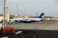 Gerardo A. Prez   Canary Islands Spotting. Click to see full size photo