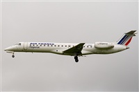 Javier de la Cruz - CANARY ISLANDS SPOTTING. Click to see full size photo