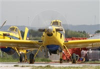 Cele - Spotters BCN. Click to see full size photo