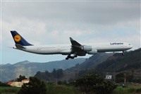 Chalo Canary Islands Spotting. Click to see full size photo
