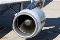 Rodrigo Carvalho - Noisy Spotters. Click to see full size photo