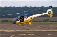 Javier de la Cruz - CANARY ISLANDS SPOTTING. Click to see full size photo
