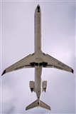 Miguel Martin Cordeiro - Iberian Spotters. Click to see full size photo