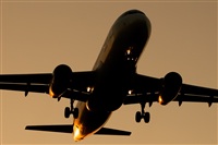 Javier de la Cruz - CANARY ISLANDS SPOTTING. Click to see full size photo