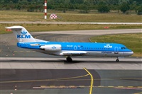 Javier de la Cruz - CANARY ISLANDS SPOTTING. Click to see full size photo