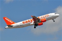Miguel A. gueda Rguez.  (CANARY ISLANDS SPOTTING). Click to see full size photo