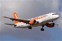 ©Alfonso Solís - Asociación Canary Islands Spotting. Click to see full size photo ©Alfonso Solís - Asociación Canary Islands Spotting. Click to see full size photo