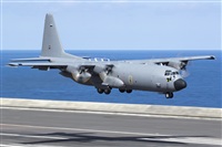 Rui Alves - Madeira Spotters. Click to see full size photo