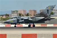 ©Salvador de la Rubia ( Marbella Spotters ). Click to see full size photo ©Salvador de la Rubia ( Marbella Spotters ). Click to see full size photo