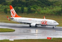 Fabio Duarte - Manaus Spotting Team. Haz click para ampliar
