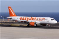©Alfonso Solís - Asociación Canary Islands Spotting. Click to see full size photo ©Alfonso Solís - Asociación Canary Islands Spotting. Click to see full size photo
