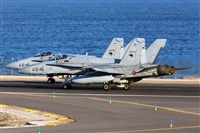 Florencio Martn Melin - Lanzarote Spotters. Click to see full size photo