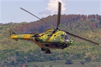 Rares Matei. Click to see full size photo