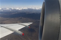Rui Alves - Madeira Spotters. Click to see full size photo