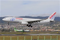 Miguel A. gueda Rguez.  (CANARY ISLANDS SPOTTING). Haz click para ampliar