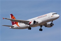 Saimon J Rodriguez   -   Canary Islands Spotting. Click to see full size photo