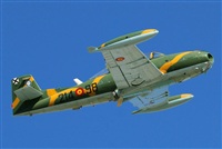 Rodrigo Carvalho - Noisy Spotters. Click to see full size photo