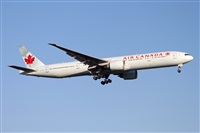Miguel Alia - Noisy Spotters. Click to see full size photo
