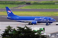 Miguel A. gueda Rguez.  (CANARY ISLANDS SPOTTING). Haz click para ampliar