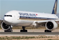 Miguel Alia - Noisy Spotters. Click to see full size photo