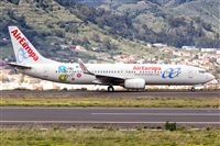 Javier de la Cruz - CANARY ISLANDS SPOTTING. Click to see full size photo