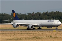 Rodrigo Carvalho - Noisy Spotters. Click to see full size photo