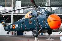 Miguel Martin Cordeiro - Iberian Spotters. Click to see full size photo