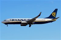 Saimon J Rodriguez   -   Canary Islands Spotting. Click to see full size photo