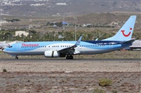 ©Alfonso Solís - Asociación Canary Islands Spotting. Click to see full size photo ©Alfonso Solís - Asociación Canary Islands Spotting. Click to see full size photo