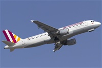 Rubn Gil - Noisy Spotters. Click to see full size photo