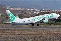 Alfonso Sols - Asociacin Canary Islands Spotting. Click to see full size photo