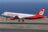 ©Alfonso Solís - Asociación Canary Islands Spotting. Click to see full size photo ©Alfonso Solís - Asociación Canary Islands Spotting. Click to see full size photo
