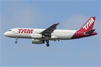 Naoto Goto - South American Spotters Asu-Py. Click to see full size photo