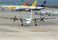 ©Alejandro H.L - Gran Canaria Spotters. Click to see full size photo ©Alejandro H.L - Gran Canaria Spotters. Click to see full size photo