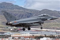 Bartolom Fernndez - Gran Canaria Spotters. Click to see full size photo