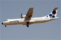 ©Alfonso Solís - Asociación Canary Islands Spotting. Click to see full size photo ©Alfonso Solís - Asociación Canary Islands Spotting. Click to see full size photo