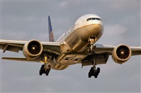Javier de la Cruz - CANARY ISLANDS SPOTTING. Click to see full size photo