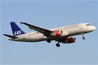 Alfonso Sols - Asociacin Canary Islands Spotting. Click to see full size photo
