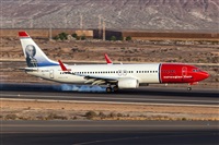 Javier de la Cruz - CANARY ISLANDS SPOTTING. Click to see full size photo