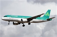Alfonso Sols - Asociacin Canary Islands Spotting. Haz click para ampliar