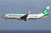 Alfonso Sols - Asociacin Canary Islands Spotting. Haz click para ampliar