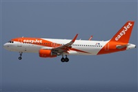 Alfonso Sols - Asociacin Canary Islands Spotting. Haz click para ampliar