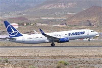 David Delgado Fumero (CanaryIslandSpotting). Click to see full size photo