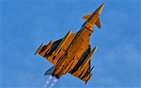 Ivn Berrocal. Click to see full size photo