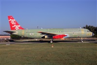 Miguel A. gueda Rguez.  (CANARY ISLANDS SPOTTING). Click to see full size photo