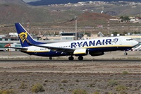 Alfonso Sols - Asociacin Canary Islands Spotting. Click to see full size photo