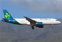 ©Alejandro H.L - Gran Canaria Spotters. Click to see full size photo ©Alejandro H.L - Gran Canaria Spotters. Click to see full size photo